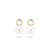 Blush Oorbedels 8mm 9023YPW - 600662