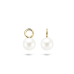 Blush Oorbedels 8mm 9023YPW - 600662